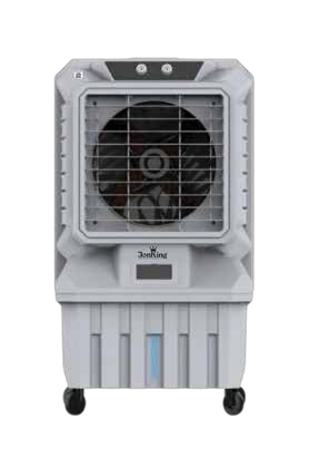 Lion-20